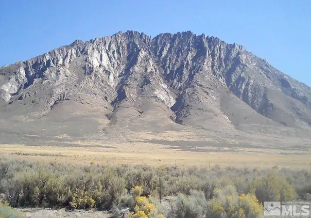 Photo 3 of Land for sale at 09 Wilbur Dr, Orovada, NV 89425 | MLS# 260000013 | Listing updated on 2026-05-08