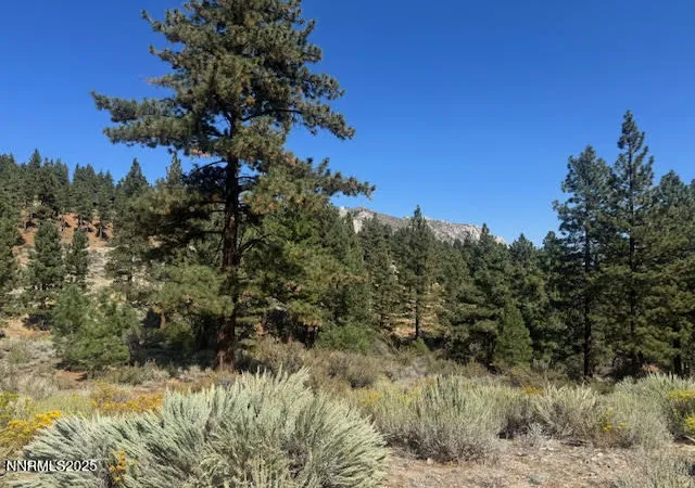 1st image of 3521 Cutoff Trl #14, Carson City, NV 89705 | MLS# 260000011