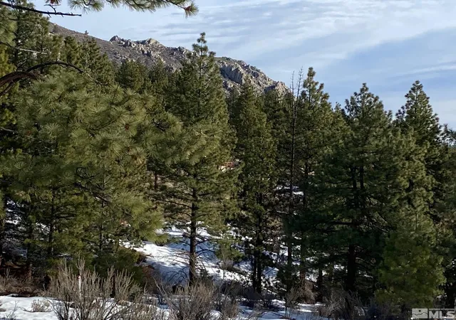 Photo 3 of Land for sale at 3521 Cutoff Trl #14, Carson City, NV 89705 | MLS# 260000011 | Listing updated on 2026-05-08