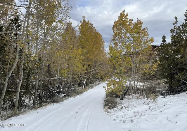 Photo 2 of Land for sale at 0 Microwave Rd #1, Reno, NV 89510 | MLS# 260000950 | Listing updated on 2026-04-27