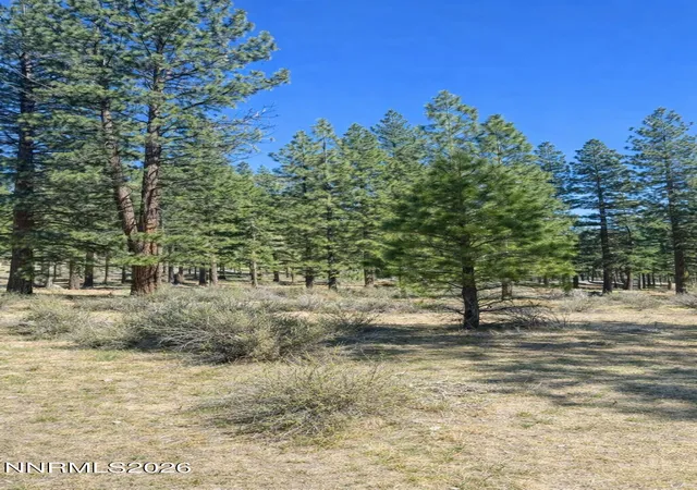 4th image of 3568 Knob Pt Trl #102, Carson City, NV 89705 | MLS# 260003237