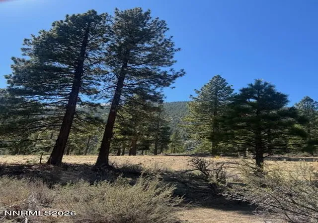 5th image of 3568 Knob Pt Trl #102, Carson City, NV 89705 | MLS# 260003237