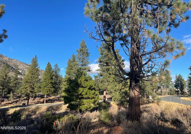 Photo 3 of Land for sale at 160 Walton Toll Rd #184, Carson City, NV 89705 | MLS# 260004096 | Listing updated on 2026-08-04