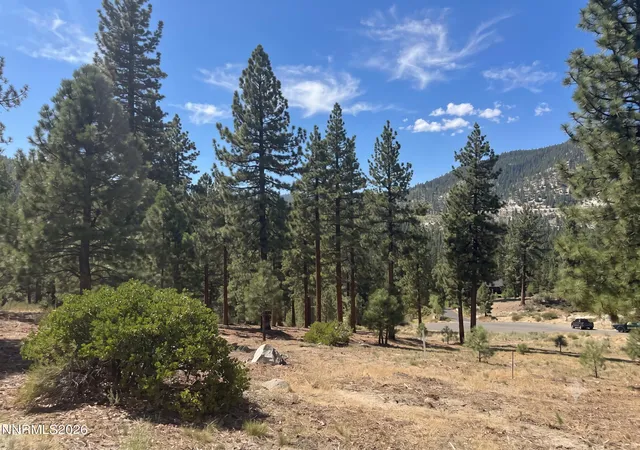 Photo 2 of Land for sale at 160 Walton Toll Rd #184, Carson City, NV 89705 | MLS# 260004096 | Listing updated on 2026-08-04