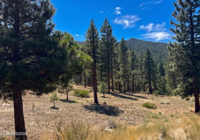 Photo 3 of Land for sale at 160 Walton Toll Rd #184, Carson City, NV 89705 | MLS# 260004096 | Listing updated on 2026-08-04