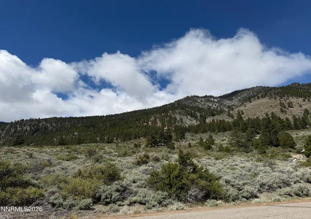 Homes for sale in Genoa, NV | 2527 Eagle Ridge Rd #lot 41, Genoa, NV 89411 | MLS# 260004888