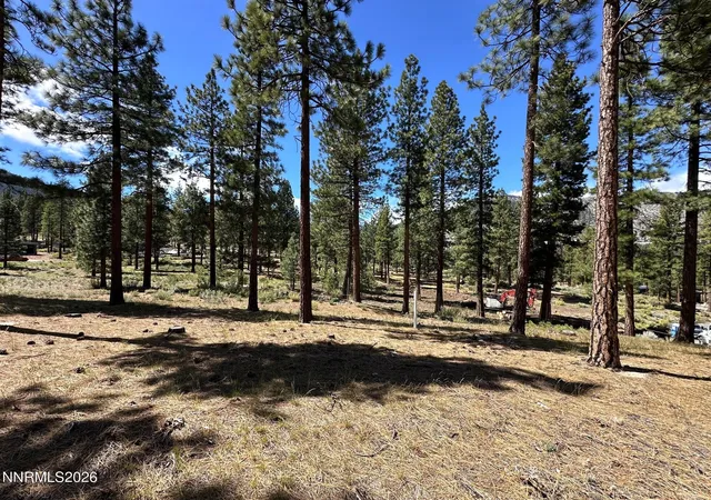 3rd image of 274 Redding Wy #235, Carson City, NV 89705 | MLS# 260004898