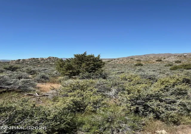 Land for sale at 1325 Antelope Valley Rd, Reno, NV 89506 | MLS# 260005140
