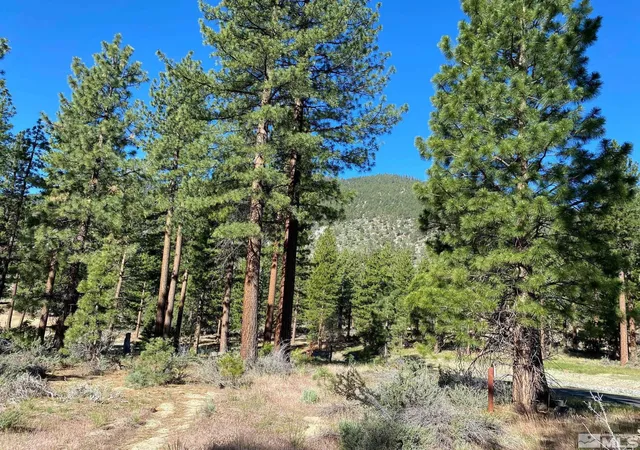 Photo 3 of Land for sale at 67 Boulders Bnd Dr #75, Carson City, NV 89705 | MLS# 260005526 | Listing updated on 2026-07-20