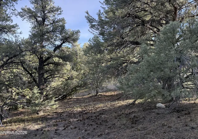 Photo 3 of Land for sale at 21695 Dortort Dr, Reno, NV 89521 | MLS# 260005620 | Listing updated on 2026-05-08