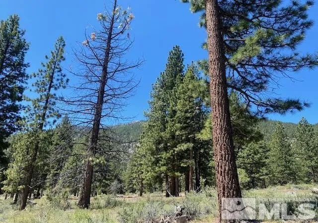 Photo 3 of Land for sale at 3584 Knob Point Trl, Carson City, NV 89705 | MLS# 260005609 | Listing updated on 2026-05-08