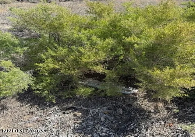3rd image of 1 Pine Valley Ct, Yerington, NV 89447 | MLS# 260006536
