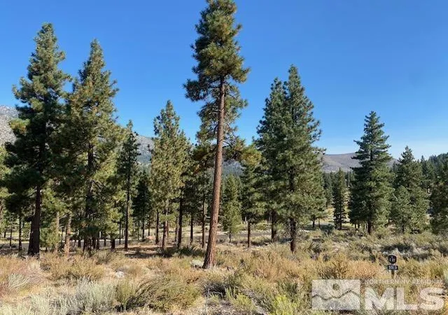 Photo 3 of Land for sale at 3253 Summit Camp Way #C27, Carson City, NV 89705 | MLS# 260006848 | Listing updated on 2026-05-29