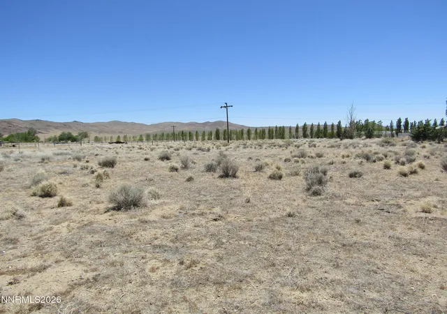 Homes for sale in Yerington, NV | 603 Pete Hendrichs Rd, Yerington, NV 89447 | MLS# 260007002