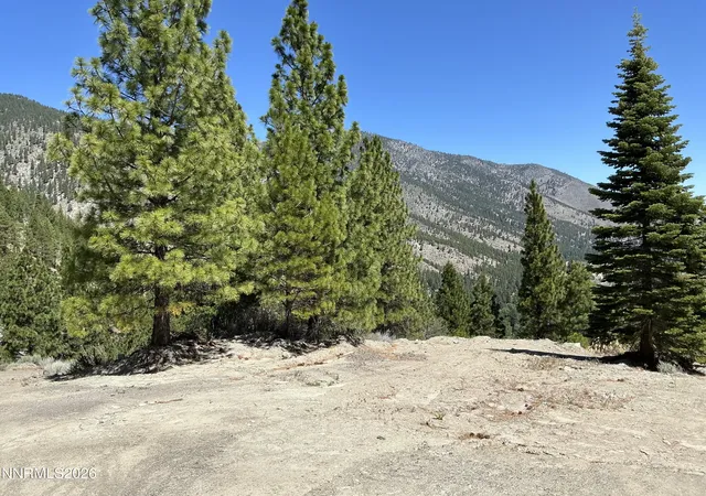 Homes for sale in Genoa, NV | 2160 Genoa Heights Ln, Genoa, NV 89411 | MLS# 260006996