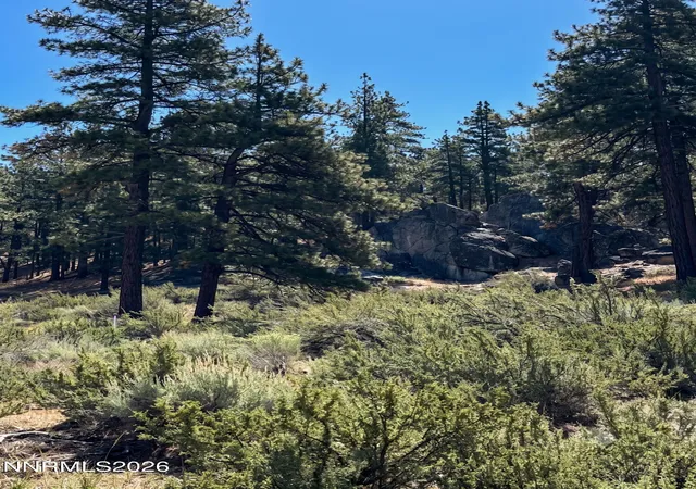Photo 1 of Land for sale at 570 Headwaters Way, Carson City, NV 89705 | MLS# 260007356 | Listing updated on 2026-06-09