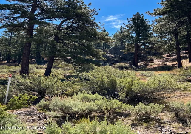 Photo 2 of Land for sale at 570 Headwaters Way, Carson City, NV 89705 | MLS# 260007356 | Listing updated on 2026-06-09
