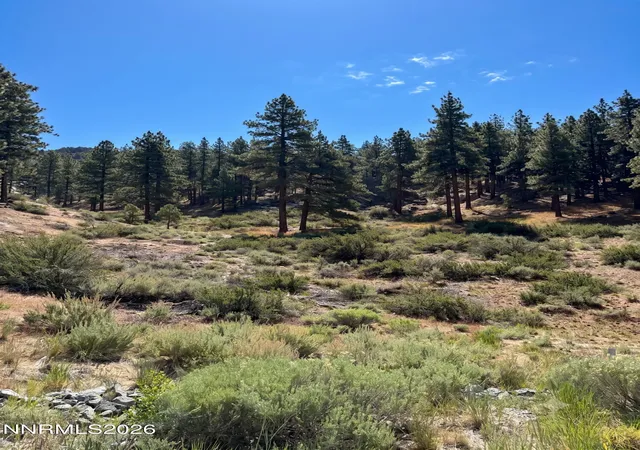 Photo 3 of Land for sale at 570 Headwaters Way, Carson City, NV 89705 | MLS# 260007356 | Listing updated on 2026-06-09