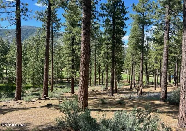 Photo 3 of Land for sale at 191 Cartwright Ct #246, Carson City, NV 89705 | MLS# 260007518 | Listing updated on 2026-06-12