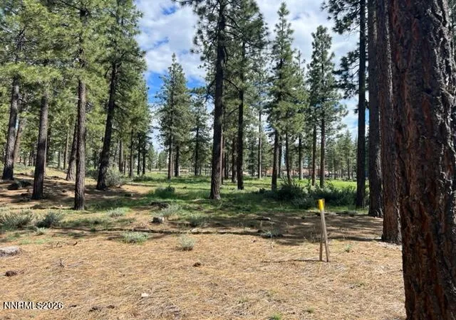 Photo 4 of Land for sale at 191 Cartwright Ct #246, Carson City, NV 89705 | MLS# 260007518 | Listing updated on 2026-06-12