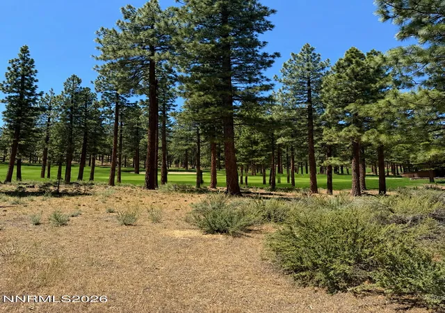 Photo 1 of Land for sale at 195 Walton Toll Rd #210, Carson City, NV 89705 | MLS# 260007656 | Listing updated on 2026-06-15