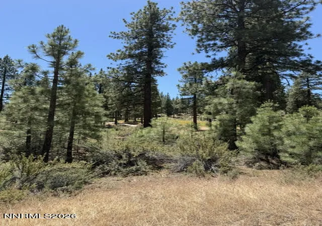Photo 2 of Land for sale at 195 Walton Toll Rd #210, Carson City, NV 89705 | MLS# 260007656 | Listing updated on 2026-06-15