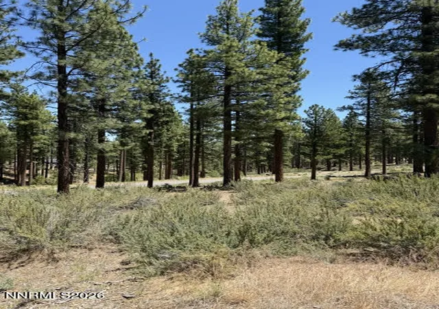 Photo 3 of Land for sale at 195 Walton Toll Rd #210, Carson City, NV 89705 | MLS# 260007656 | Listing updated on 2026-06-15