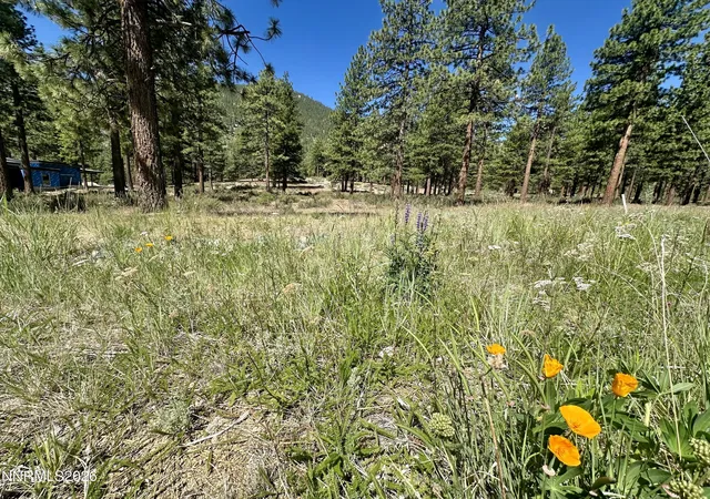 Land for sale at 3355 Golf Clb Dr #97, Carson City, NV 89705 | MLS# 260007625