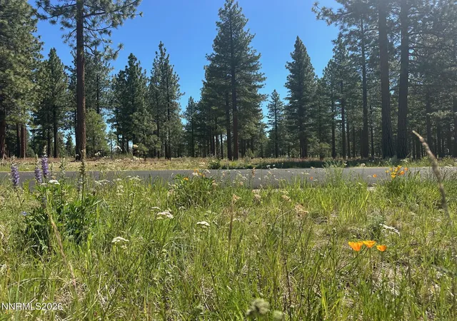 Photo 3 of Land for sale at 3355 Golf Clb Dr #97, Carson City, NV 89705 | MLS# 260007625 | Listing updated on 2026-08-18