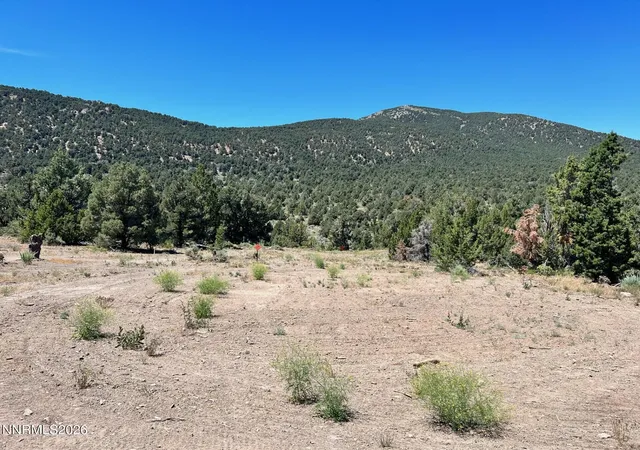 Homes for sale in Minden, NV | Tbd P14 #76, Minden, NV 89423 | MLS# 260007760