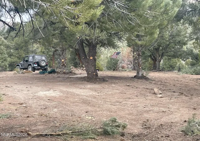 Photo 3 of Land for sale at Tbd P14 #76, Minden, NV 89423 | MLS# 260007760 | Listing updated on 2026-09-02