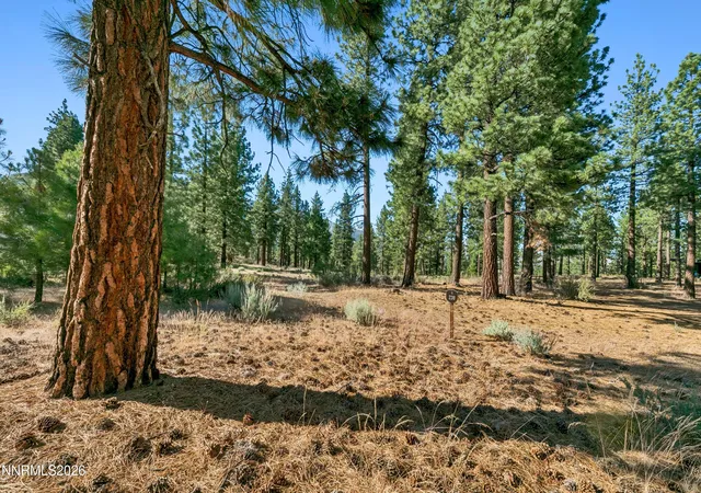 3rd image of 238 Redding Wy, Carson City, NV 89705 | MLS# 260008313