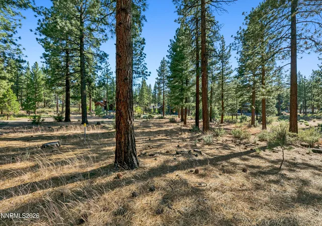 4th image of 238 Redding Wy, Carson City, NV 89705 | MLS# 260008313