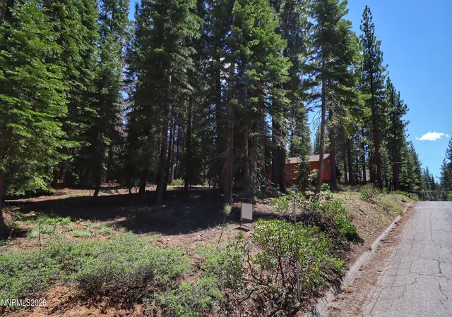 Homes for sale in South Lake Tahoe, CA | 1491 Skyline Dr, South Lake Tahoe, CA 96150 | MLS# 260008218