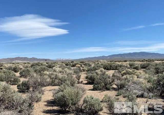 Homes for sale in Smith Valley, NV | 78 Desert View Dr, Smith Valley, NV 89430 | MLS# 260008332
