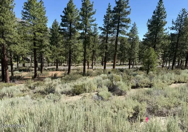 3rd image of 3265 Summit Camp Wy #C24/310, Carson City, NV 89705 | MLS# 260008947