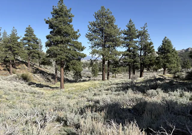 Land for sale at 5000 W Highway 50, Carson City, NV 89701 | MLS# 260008665