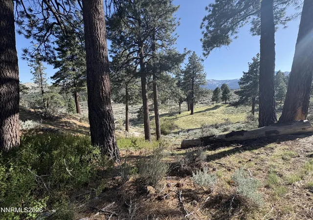 Photo 2 of Land for sale at 5000 W Highway 50, Carson City, NV 89701 | MLS# 260008665 | Listing updated on 2026-07-11