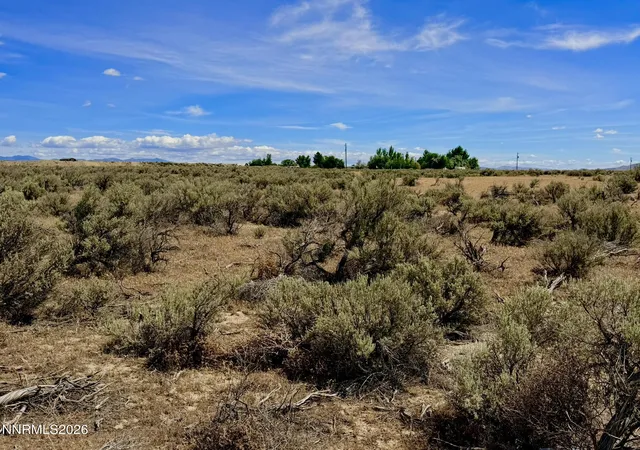 Homes for sale in Winnemucca, NV | 006 043 08 Springfield Rd #APN 06-0043-08, Winnemucca, NV 89445 | MLS# 260008605