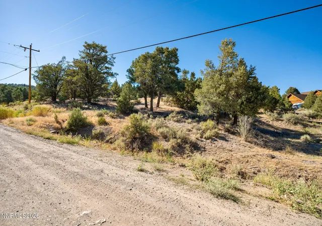Homes for sale in Reno, NV | 21630 Sazarac Rd, Reno, NV 89521 | MLS# 260008809