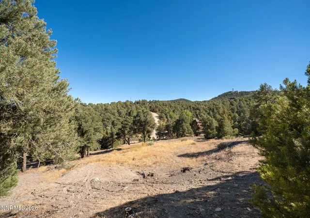 Photo 3 of Land for sale at 21630 Sazarac Rd, Reno, NV 89521 | MLS# 260008809 | Listing updated on 2026-07-23