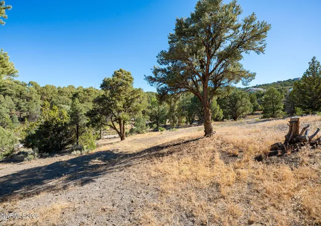 Photo 3 of Land for sale at 21630 Sazarac Rd, Reno, NV 89521 | MLS# 260008809 | Listing updated on 2026-07-23