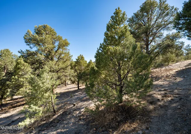 Photo 4 of Land for sale at 21630 Sazarac Rd, Reno, NV 89521 | MLS# 260008809 | Listing updated on 2026-07-23