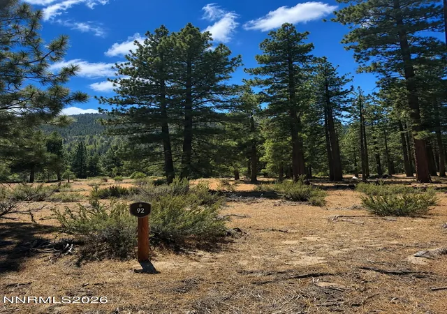 Photo 3 of Land for sale at 3571 Knob Point Trl #92, Carson City, NV 89705 | MLS# 260009456 | Listing updated on 2026-07-29