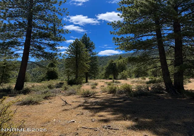 Photo 3 of Land for sale at 3571 Knob Point Trl #92, Carson City, NV 89705 | MLS# 260009456 | Listing updated on 2026-07-29
