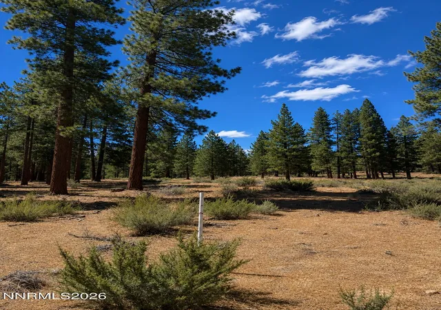 Photo 4 of Land for sale at 3571 Knob Point Trl #92, Carson City, NV 89705 | MLS# 260009456 | Listing updated on 2026-07-29