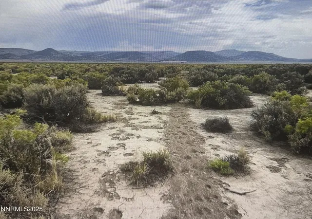 Land for sale at Apn 066 260 50, Gerlach, NV 89412 | MLS# 260009486