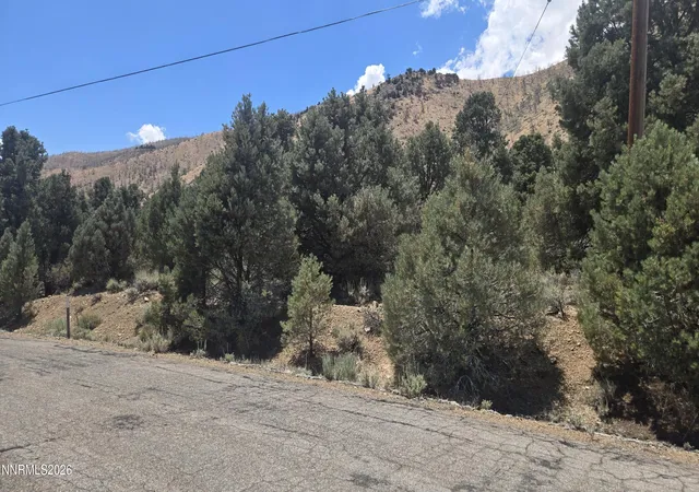Photo 1 of Land for sale at 1548 Moss Cir, Gardnerville, NV 89410 | MLS# 260009530 | Listing updated on 2026-07-27