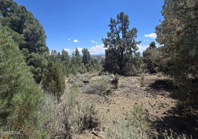 Photo 2 of Land for sale at 1548 Moss Cir, Gardnerville, NV 89410 | MLS# 260009530 | Listing updated on 2026-07-27