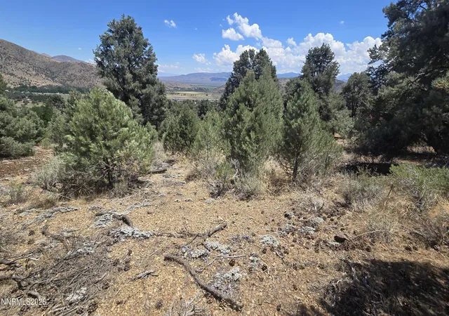 Photo 3 of Land for sale at 1548 Moss Cir, Gardnerville, NV 89410 | MLS# 260009530 | Listing updated on 2026-07-27